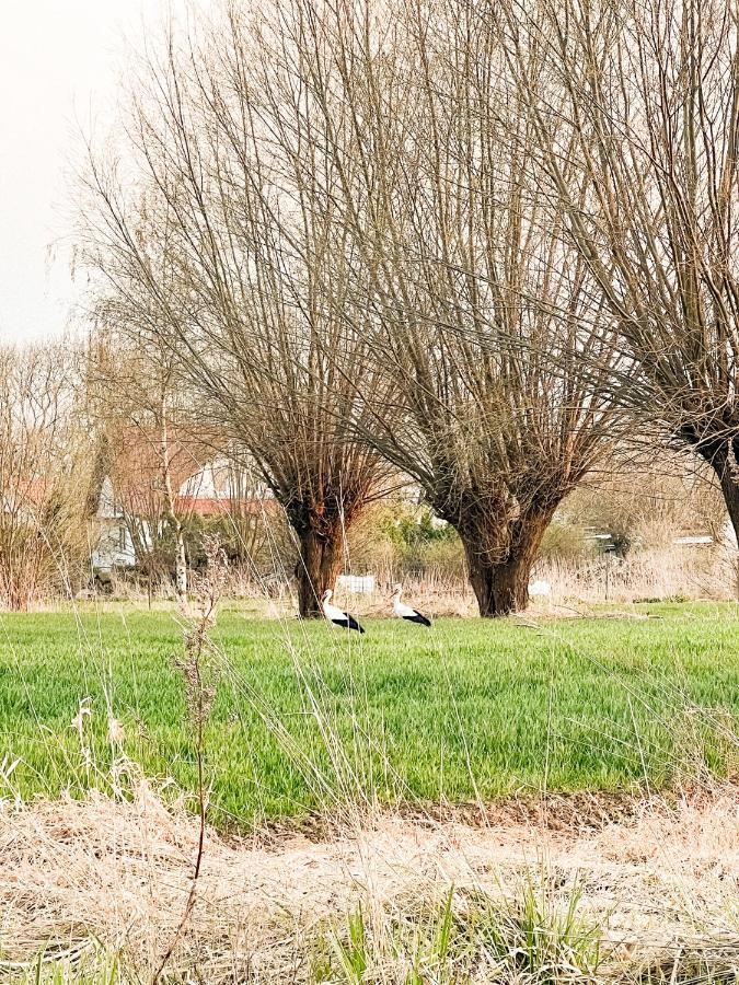 Ferienwohnung Siedlisko nad Nogatem Jazowa  Exterior foto